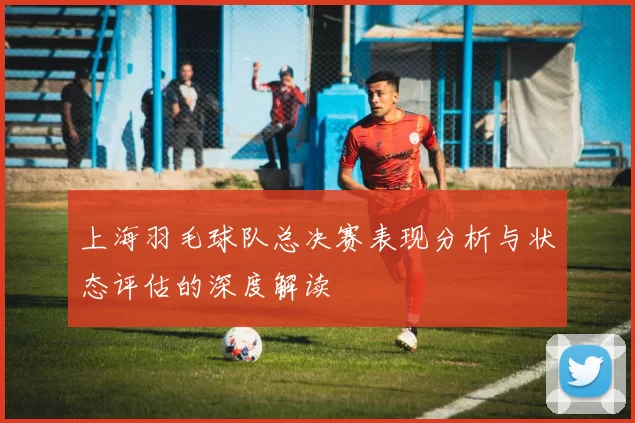 上海羽毛球队总决赛表现分析与状态评估的深度解读