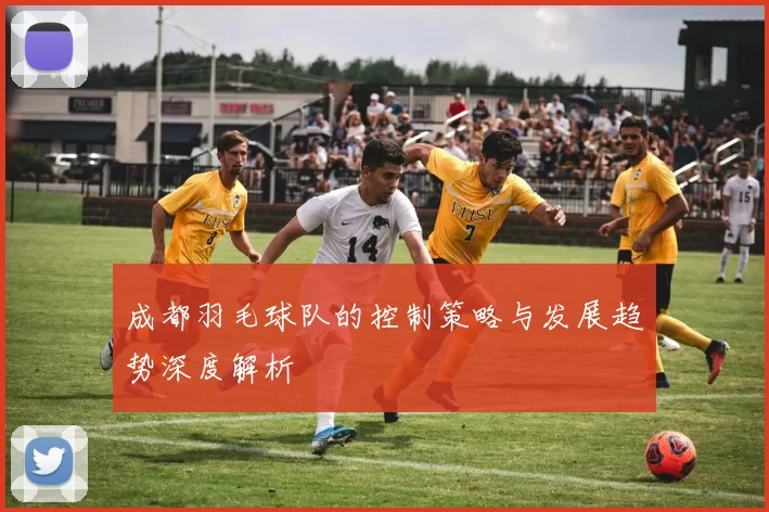 成都羽毛球队的控制策略与发展趋势深度解析