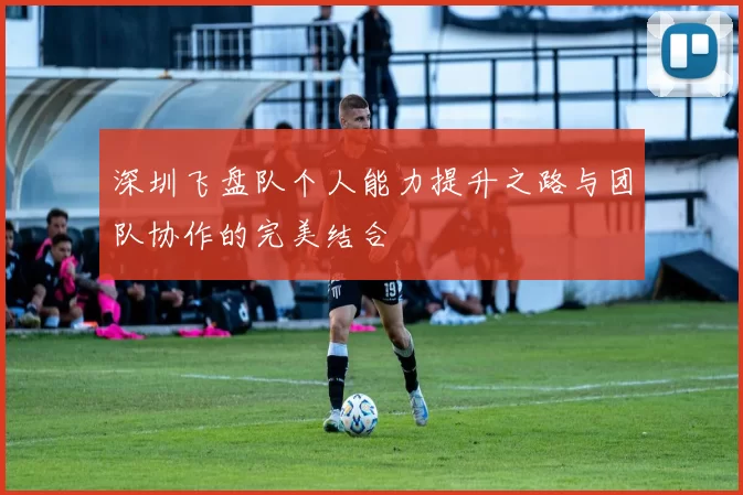 深圳飞盘队个人能力提升之路与团队协作的完美结合