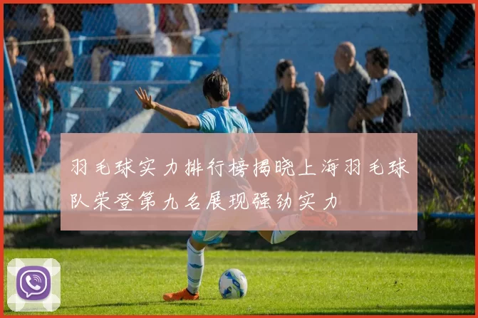 羽毛球实力排行榜揭晓上海羽毛球队荣登第九名展现强劲实力