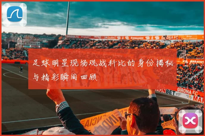 足球明星现场观战科比的身份揭秘与精彩瞬间回顾