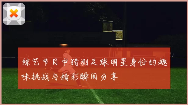 综艺节目中猜测足球明星身份的趣味挑战与精彩瞬间分享