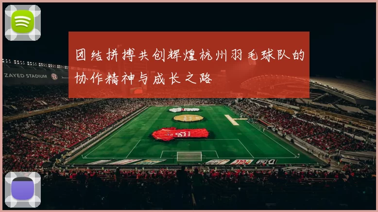 团结拼搏共创辉煌杭州羽毛球队的协作精神与成长之路