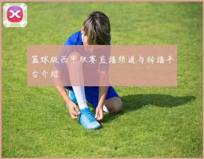 篮球版西甲联赛直播频道与转播平台介绍