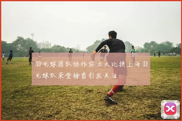 羽毛球团队协作实力大比拼上海羽毛球队荣登榜首引发关注