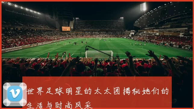 世界足球明星的太太团揭秘她们的生活与时尚风采