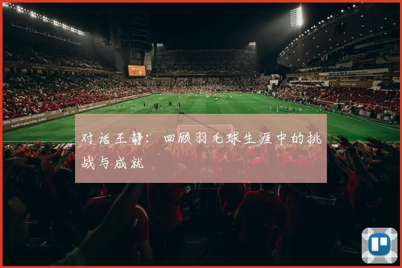 对话王静：回顾羽毛球生涯中的挑战与成就