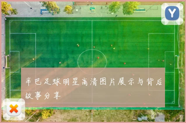 辛巴足球明星高清图片展示与背后故事分享