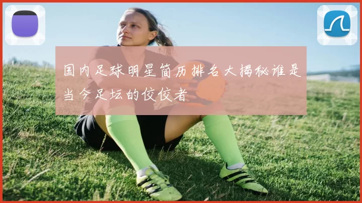 国内足球明星简历排名大揭秘谁是当今足坛的佼佼者