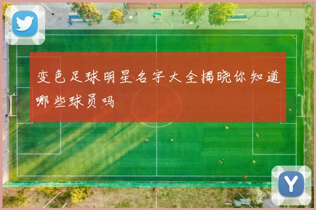 变色足球明星名字大全揭晓你知道哪些球员吗
