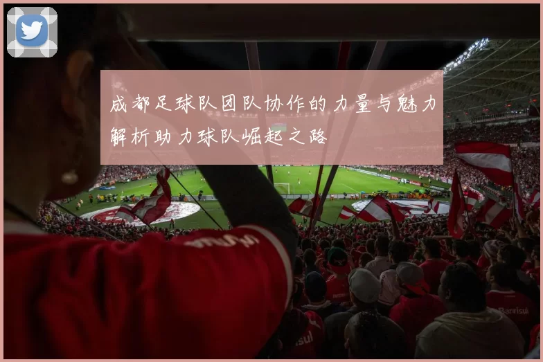 成都足球队团队协作的力量与魅力解析助力球队崛起之路