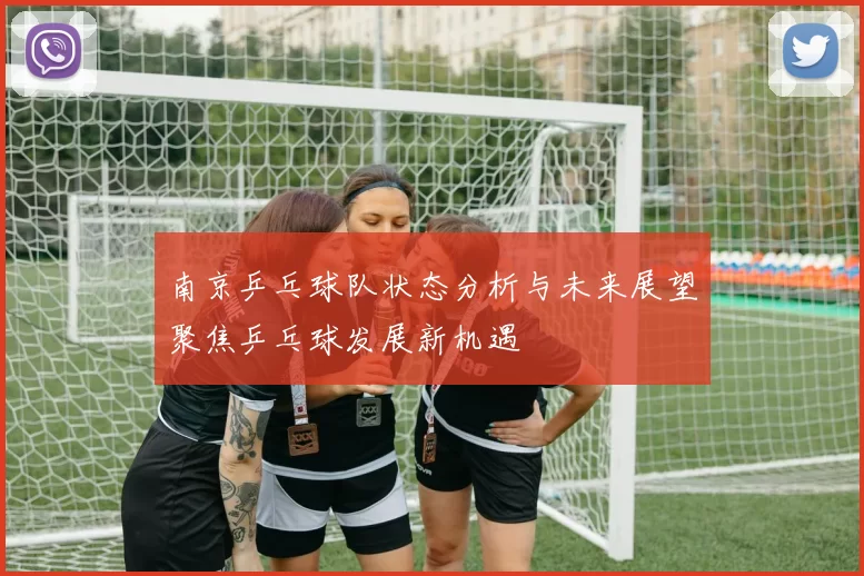 南京乒乓球队状态分析与未来展望聚焦乒乓球发展新机遇