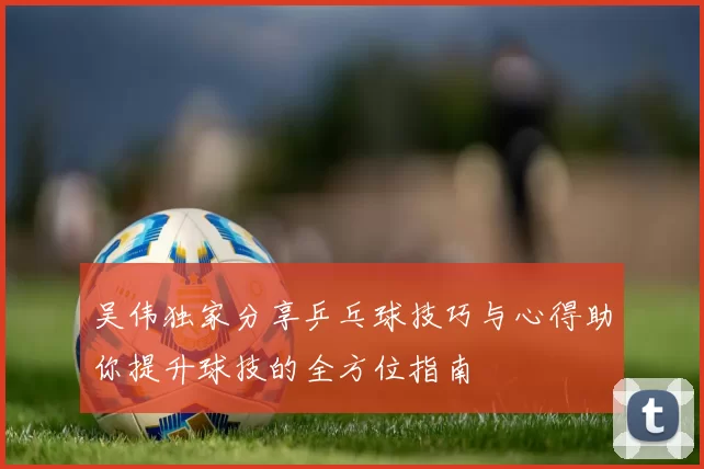 吴伟独家分享乒乓球技巧与心得助你提升球技的全方位指南