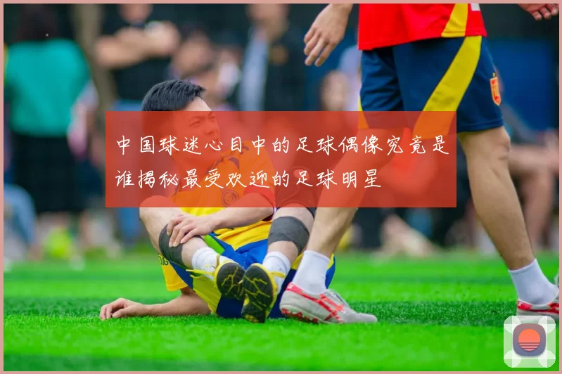 中国球迷心目中的足球偶像究竟是谁揭秘最受欢迎的足球明星