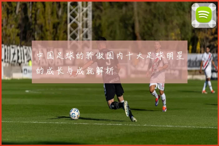 中国足球的骄傲国内十大足球明星的成长与成就解析