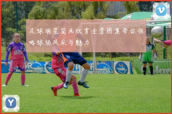 足球明星简画欣赏全景图集带你领略球场风采与魅力