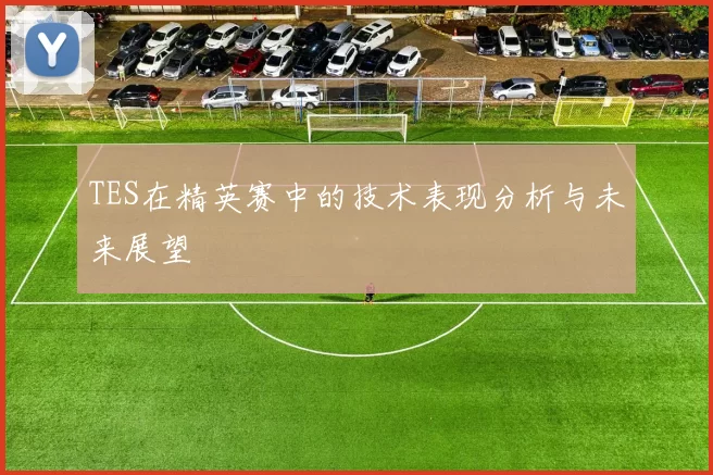 TES在精英赛中的技术表现分析与未来展望
