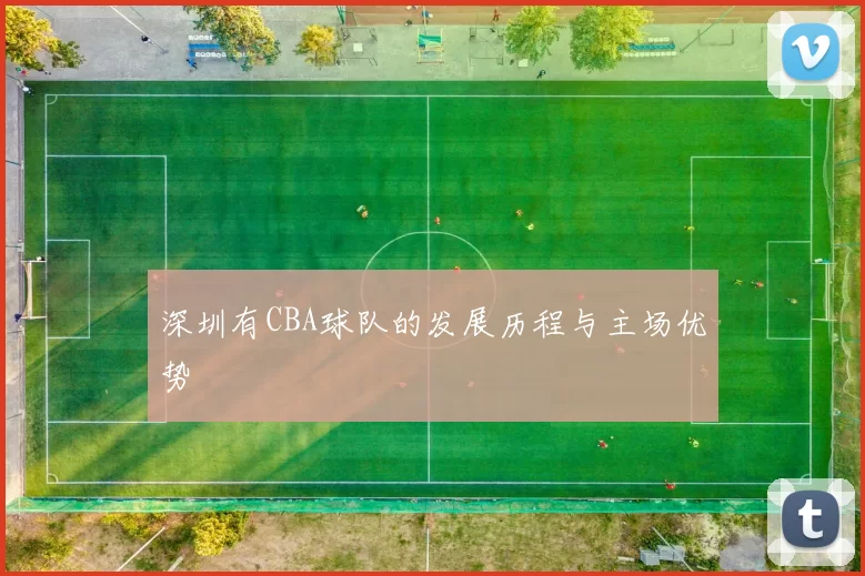 深圳有CBA球队的发展历程与主场优势