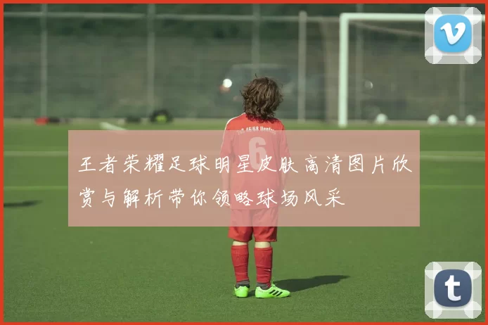 王者荣耀足球明星皮肤高清图片欣赏与解析带你领略球场风采