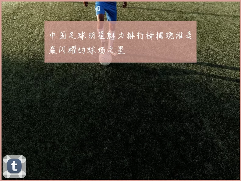 中国足球明星魅力排行榜揭晓谁是最闪耀的球场之星