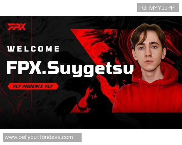 独家解析FPX技术优势与劣势的全面对比分析