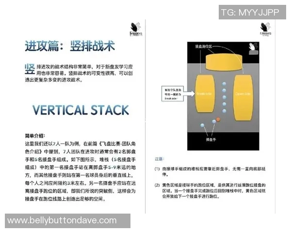 南京飞盘队实力解析：探索团队背后的训练与战术秘诀